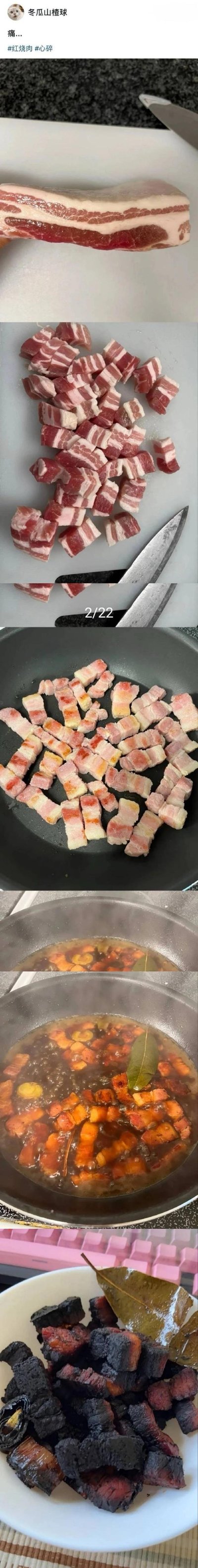 这是一组记录红烧肉制作从准备到彻底失败的连环图：从新鲜带皮五花肉开始，先将肉切成均匀的方块，接着下锅煎至表面变色，随后加入调料和水炖煮，最后成品却完全碳化变成黑炭状，与预期的美味红烧肉相差甚远。搭配博主的「痛...」配文和#红烧肉 #心碎标签，满是制作失败后的无奈与心碎，是普通人做饭翻车的真实写照。