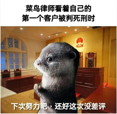 这是一张搞笑P图，背景是中国法庭场景，前景是一只被拟人化的水獭，代表刚入行的菜鸟律师。上方配文点明场景：'菜鸟律师看着自己的第一个客户被判死刑时'，下方配文是水獭的内心独白：'下次努力吧，还好这次没差评'。图片用职场中担心差评的普遍心态，调侃新人律师在首次代理案件败诉后的自我安慰，以软萌的水獭形象弱化法庭的严肃感，通过强烈的反差制造搞笑效果，精准戳中职场新人害怕负面评价的情绪。