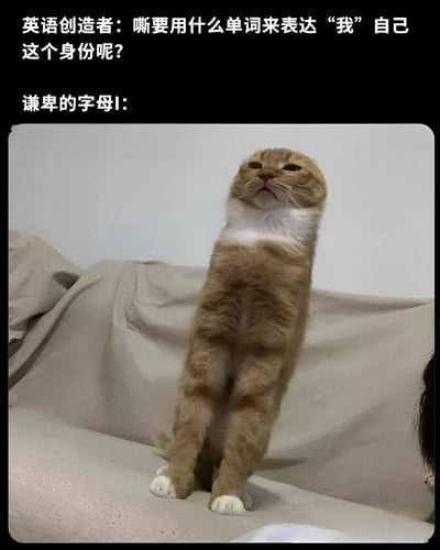 图片上方文字为“英语创造者：嘶要用什么单词来表达‘我’自己这个身份呢？”，下方标注“谦卑的字母I：”并配有一只橘白相间的猫直立站在沙发上，仰头向上看的画面。通过拟人化手法，将英语中表示“我”的字母“I”与仰头“自荐”的猫咪形象结合，形成幽默的语言梗，暗示字母“I”主动成为表达“我”的单词。