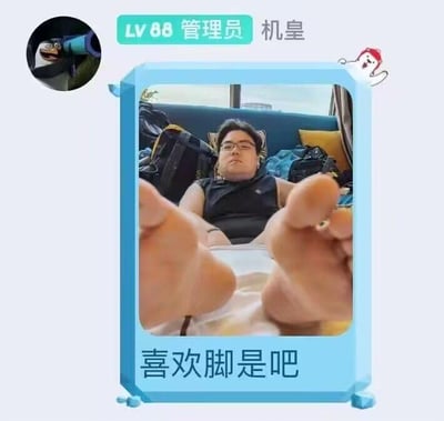 这是一张带边框的文字加注类梗图，顶部展示了LV88管理员“机皇”的账号信息，头像是动画《马达加斯加》里的菜鸟企鹅。画面主体是一位戴眼镜的男士（即管理员机皇），他躺着将双脚直接伸向镜头，画面底部配文“喜欢脚是吧”，用直白戏谑的语气调侃那些有喜欢看脚这类特殊喜好的人，整体风格搞笑，用于社群互动中的怼人玩笑，没有双关、谐音梗等内容。
