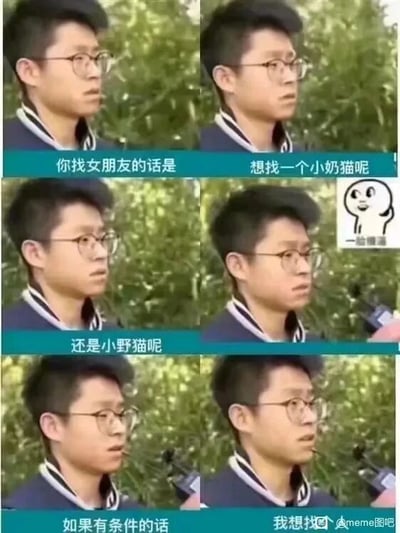 这是一组由六张视频截图拼接而成的连环搞笑梗图，模拟街头采访的场景。画面中一位戴眼镜的男生正在接受采访，采访者依次提问“你找女朋友的话是”“想找一个小奶猫呢”“还是小野猫呢”，这里的“小奶猫”和“小野猫”是网络上用来形容两种不同性格类型女生的流行说法，小奶猫型女生通常温柔黏人，小野猫型女生则活泼带点野性。男生听到问题后露出疑惑的神情，图中还搭配了“一脸懵逼”的表情包来强化这种状态，随后男生一本正经地回答“如果有条件的话”“我想找个小母猫”，故意将形容女生的网络词汇曲解为真实的猫品种，制造出荒诞的反差感，从而产生搞笑效果。