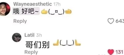 这是一张X（原推特）平台的评论区截图，共展示了两条网友互动内容：第一条由用户Wayneaesthetic发布，内容为“哦 好吧~”，搭配两侧的点赞手势emoji和中间的颜文字，传递出无奈附和的情绪；第二条是用户Latil的回复，内容为“哥们别”，搭配两侧的下跪手势emoji和跪地造型的颜文字，传递出急切劝阻对方的情绪，两条内容的emoji和颜文字搭配十分巧妙，反差感强烈，充满趣味性。