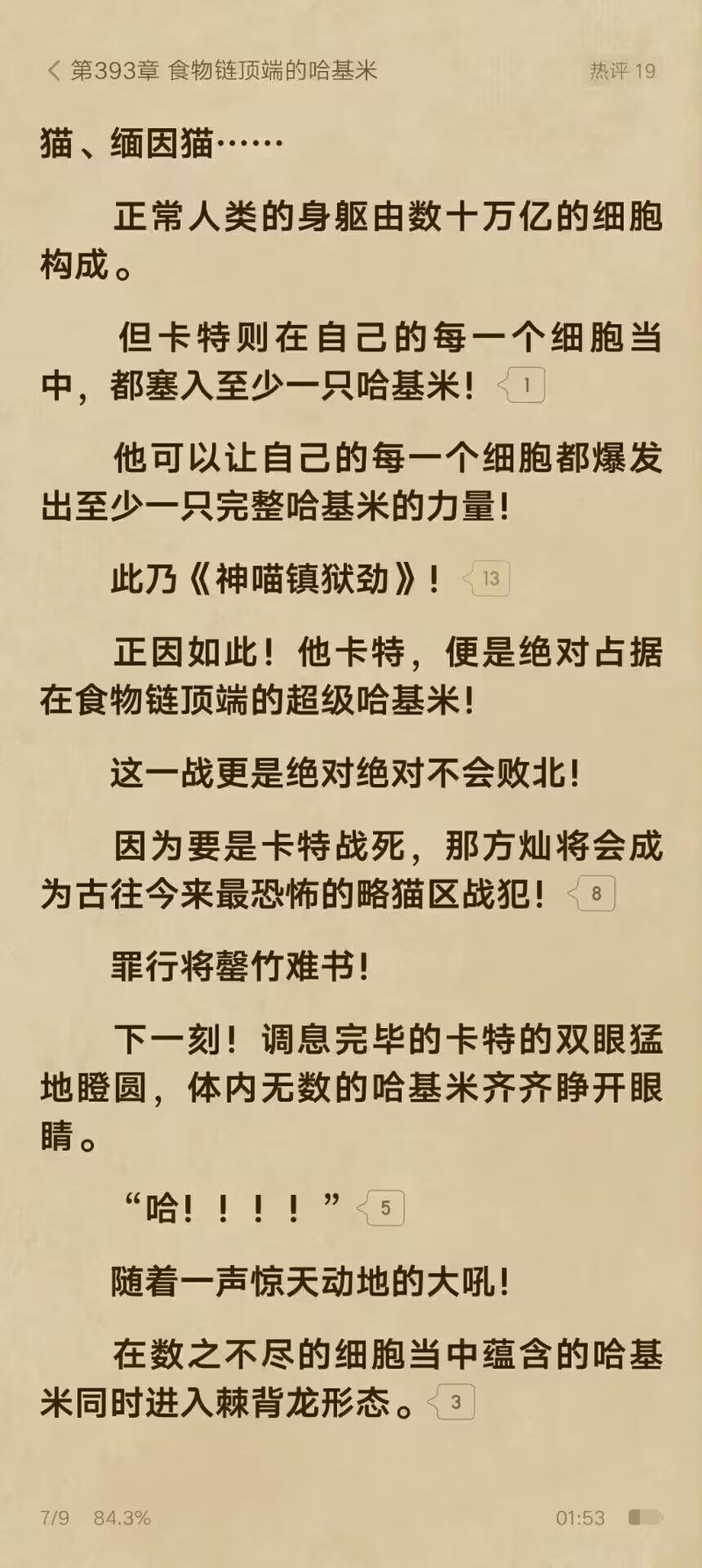 网络小说