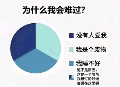 一张以“为什么我会难过？”为标题的幽默梗图，通过饼图形式展示“没有人爱我”“我是个废物”“我睡不好”三个自贬式“原因”，最后反转说明“这不是原因，这是一个墙角，我难过的时候会蹲在这里哭”，用自嘲和场景化描述制造反差笑点，反映年轻人常见的情绪内耗与自我调侃心理。