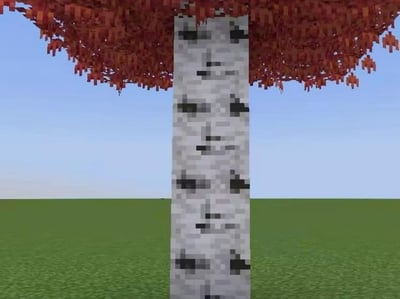 这是一张《我的世界》(Minecraft)风格的游戏场景截图，画面中央是一棵特写的树木。树干呈白色，带有典型的黑色斑点，类似游戏中的白桦树；树冠则是鲜艳的红色像素化树叶，与常见的绿色树叶不同。背景是简洁的蓝色天空和绿色草地，整体呈现出宁静的像素艺术风格。