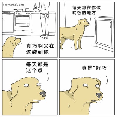 这是一组四格卡通漫画，主角是一只金毛犬。第一格中，金毛犬在厨房看到正在准备晚饭的主人，假装惊喜地开口：“真巧啊又在这碰到你”；第二格，狗狗开始内心吐槽：“每天都在你做晚饭的地方”；第三格继续吐槽：“每天都是这个点”；第四格中，金毛犬翻着白眼，阴阳怪气地说出“真是‘好巧’”。漫画通过拟人化的方式，用狗狗的内心吐槽戳破它为了蹭饭而假装偶遇主人的小心机，以幽默的视角展现宠物和主人的日常互动，引发共鸣。