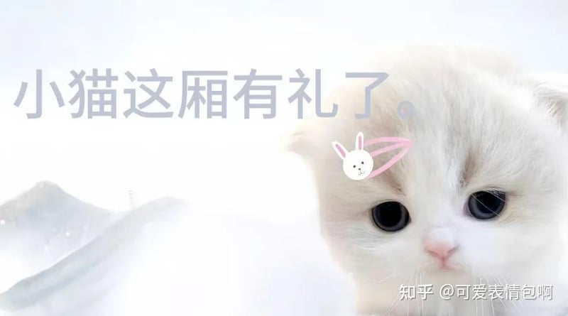 小猫这厢有礼了 - 古风小生猫咪版