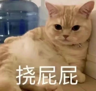 图片中是一只浅色橘猫侧躺在地面上，身体呈现出慵懒的姿态，眼睛睁大直视前方，表情淡定。猫的后方有一个蓝色的桶装饮水机作为背景。图片底部有白色的“挠屁屁”文字，与猫咪的姿势形成趣味关联，整体营造出可爱又搞笑的氛围。
