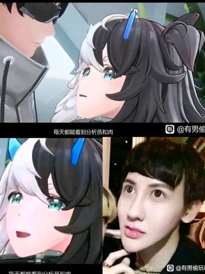 这是一张拼接类搞笑梗图，上半部分是手游《战双帕弥什》里的角色21号（玩家昵称“肉”）与分析员的互动游戏截图，配文“每天都能看到分析员和肉”；下半部分左侧是21号的特写截图，右侧是网红刘梓晨的真人照片。由于21号的黑白分色刘海发型与刘梓晨的发型高度相似，被网友拼接在一起玩撞脸梗，通过跨次元的相似点制造出滑稽的搞笑效果，在《战双帕弥什》的玩家圈子里流传。