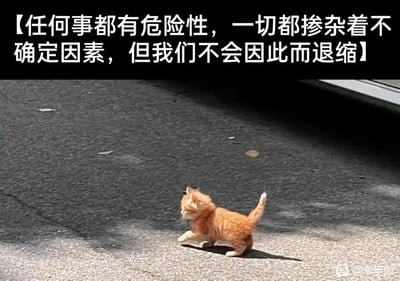 这是一张顶配底文图，画面上方是黑色背景搭配白色的励志文字：【任何事都有危险性，一切都掺杂着不确定因素，但我们不会因此而退缩】；画面下方是一只奶气十足的橘色小奶猫，正迈着小短腿坚定地走在路面上，小猫身形弱小但姿态果敢，用萌宠的可爱形象呼应上方的正能量文案，传递出即便面对未知风险也要勇敢向前的精神，温暖且有感染力。