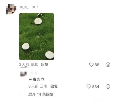 这是一张社交媒体评论区截图，一名IP属地为湖北的匿名用户发布了实拍的野外草地图片，图中绿色草地上生长着三朵外形相似的白色圆形野生蘑菇，下方有IP属地为云南的匿名用户评论“三毒鼎立”，该内容谐音“三足鼎立”，结合云南当地多有毒野生菌、常有误食中毒事件的常识，调侃这三朵蘑菇大概率都属于有毒菌类，该评论获得834个点赞，原发图内容获得88个点赞，界面还显示该评论下另有14条回复可展开查看。