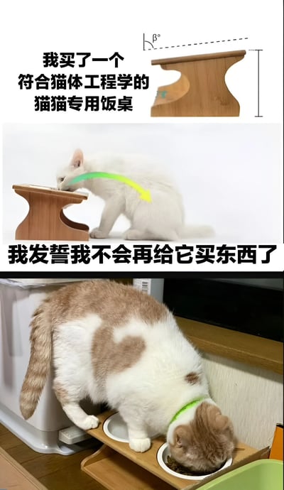 图片分为三部分。顶部展示一个木质猫用餐桌，配文“我买了一个符合猫体工程学的猫猫专用饭桌”；中间是一只白猫正在使用该餐桌，绿色箭头标注角度，配文“我发誓我不会再给它买东西了”；底部则是一只橘白相间的猫正在一个简易的双碗食盆里进食，食盆放在一个木质架子上。整体呈现了主人为猫咪购买昂贵用品却可能被闲置的幽默场景，反映了养宠过程中“精心准备却不被领情”的无奈与搞笑。