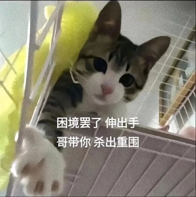 这是一张文字加注的静态表情包图片，主体是一只被P上超大圆形黑眼睛的狸花加白猫咪，猫咪身处类似宠物笼的空间里，前爪伸出笼外，被修改后的眼睛让它看起来带着一种可靠又有点戏谑的感觉。图片下方配有两行白色文字：“困境罢了 伸出手 哥带你 杀出重围”，用一种江湖气的口吻，将猫咪塑造成能带领人摆脱困境的“大哥”，风格幽默又治愈，适合用来给处于低谷、困境中的朋友传递鼓励与支持的情绪，没有双关、谐音梗等特殊内容。