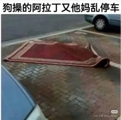 这是一张搞笑脑洞梗图，画面展示了公共路面的停车位里放置了一块红棕色、外形酷似神话中阿拉丁魔毯的地毯，看起来仿佛是魔毯停在了车位上，顶部搭配粗俗的吐槽配文，将地毯玩梗对应成阿拉丁的飞行魔毯，用荒诞的设定吐槽乱占车位的不文明行为，笑点十足。