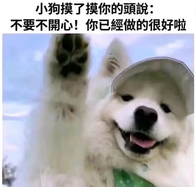 这是一张P图改编的静态单图表情包，主体是一只戴着浅灰色帽子的萨摩耶，它嘴角上扬、吐出舌头，表情看起来亲切又欢快，同时抬起一只爪子，做出类似摸头的拟人化动作。图片上方配有文字“小狗摸了摸你的头说：不要不开心！你已经做的很好啦”，通过拟人化的手法，以小狗的口吻传递出暖心的安慰与鼓励，整体风格治愈温馨，适合在他人情绪低落时用来给予慰藉。