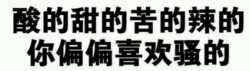 酸的甜的苦的辣的 你偏偏喜欢骚的