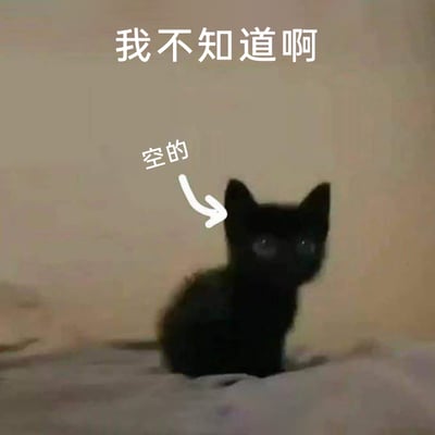 这是一张文字加注的静态单图，主体是一只通体黑色的小猫，它的脸部因为毛色黑加上画质原因几乎看不清细节，仅能隐约看到反光的眼睛，小猫安静地坐着。图片上方配有文字“我不知道啊”，还有一个白色箭头指向小猫的头部，箭头旁标注“空的”，用拟人化的调侃方式，将小黑猫的黑脑袋比喻成“空空的”，用来表达自己什么都不知道、脑袋里没有想法的状态，是非常贴合日常应对提问、摸鱼场景的搞笑表情包，能生动传递出懵懂、茫然或者不想回应的情绪。