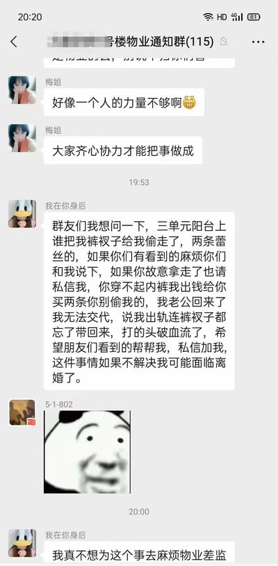 物业通知群内，梅姐先发消息感慨“好像一个人的力量不够啊😅”并呼吁“大家齐心协力才能把事做成”。随后群成员“我在你身后”紧急求助，称三单元阳台的两条蕾丝内裤被偷，担心老公误会出轨导致离婚，甚至提出“你穿不起内裤我出钱给你买两条”。之后“5-1-802”发送了一个邪笑的熊猫头表情包，“我在你身后”补充“我真不想为这个事去麻烦物业差监”。整个聊天记录充满戏剧性和无奈的搞笑感。