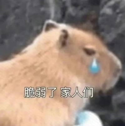 图片展示一只浅棕色动物（疑似犬类）的背影，头部转向一侧，眼部附近被编辑添加了一颗蓝色泪珠，下方配有文字“脆弱了 家人们”。整体通过动物的委屈姿态与文字结合，幽默地表达出一种脆弱、无助的情绪，常用于社交媒体中抒发内心的低落或调侃式的“emo”时刻。