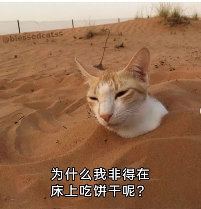 这是一张经过文字改编的搞笑表情包，画面主体是一只橘白相间的猫咪，它的身体被沙漠的沙子完全掩埋，仅露出头部和一小段脖子。猫咪双眼半睁，面部神态看起来既无奈又懊悔。图片底部配有中文文字“为什么我非得在床上吃饼干呢？”，将猫咪的处境与“在床上吃饼干”这个可能闯祸的行为关联起来，营造出一种仿佛猫咪因自己的行为后悔、仿佛受到“惩罚”的搞笑反差效果，十分贴合人们事后懊悔时的心情。图片左上角带有外网账号@blessedcatss的水印。