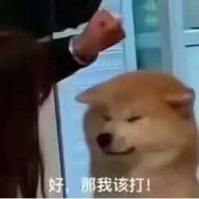 图片中是一只柴犬，它表情看起来有些无奈，正面对着一只即将落下的人手。图片底部有文字“好，那我该打！”，形成一种幽默的效果，仿佛柴犬在无奈地接受指责。