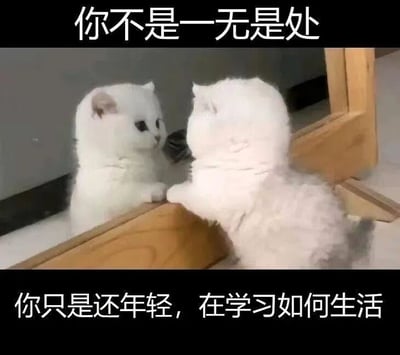 图片中一只白色的小猫正站在镜子前，专注地看着镜中的自己。图片上方有文字“你不是一无是处”，下方有文字“你只是还年轻，在学习如何生活”。这张图通过可爱的猫咪照镜子的场景，配上鼓励性的文字，传达出一种积极向上、自我肯定的情感，适合用来安慰或鼓励处于迷茫期的年轻人。