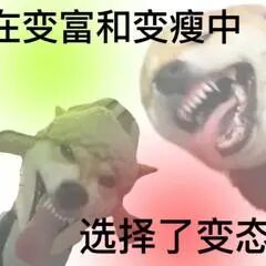 这是一张P图改编的搞笑梗图，画面中是两个被替换成夸张柴犬狗头的形象，它们嘴巴大张，表情狰狞癫狂，背景是渐变的绿粉色。图中配文“在变富和变瘦中选择了变态”，用一种戏谑的方式调侃当下很多人在难以实现变富、变瘦的常见愿望时，以一种搞怪“摆烂”的态度自我调侃，制造出强烈的反差笑点，契合网络上的自嘲式幽默风格，很容易引发网友的共鸣。