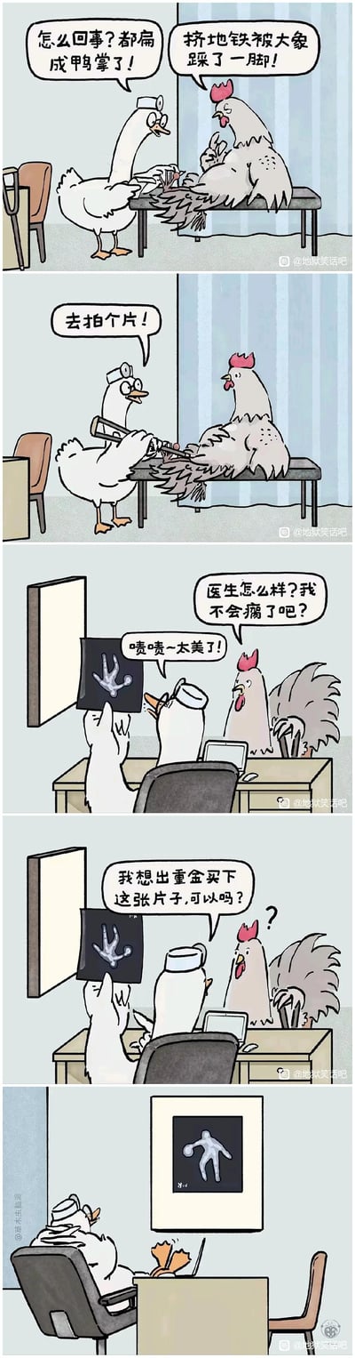 这是一组五格原创连环卡通漫画，讲述了一只鸡挤地铁被大象踩脚，脚扁成鸭掌后去鹅医生的诊所看病的故事：
1. 鹅医生看到鸡的脚惊讶询问，鸡说明是被大象踩了；
2. 鹅医生让鸡去拍X光片；
3. 鸡担忧地询问病情，鹅医生却赞叹X光片“太美了”；
4. 鹅医生提出重金买下这张X光片；
5. 最后画面显示鹅医生把X光片装裱挂在办公室，原来X光片的形状像一位跳芭蕾的人。

**笑点**：医生完全忽略鸡的病情，将X光片当作艺术品，鸡的担忧和医生的反应形成强烈反差，错位的逻辑制造出荒诞搞笑的效果。
