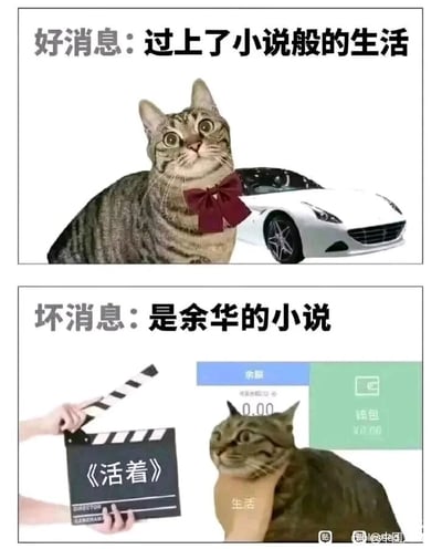 这是一张上下分栏的对比梗图，上半部分展示了一只戴着酒红色蝴蝶结的狸花猫，旁边合成了一辆白色跑车，配文“好消息：过上了小说般的生活”，营造出一种如同爽文主角般光鲜亮丽的生活假象；下半部分则画风突变，一只狸花猫被写有“生活”的布勒住脖颈，旁边有一块写着《活着》的场记板，右侧是显示余额为0.00的钱包界面，配文“坏消息：是余华的小说”。图中利用余华代表作《活着》的苦难叙事基调，调侃当代年轻人看似有戏剧性的生活，实则是钱包空空、只能艰难维持生存的窘迫状态，用强烈的反差感制造搞笑效果，精准戳中了部分年轻人“穷且活着”的自嘲心态。