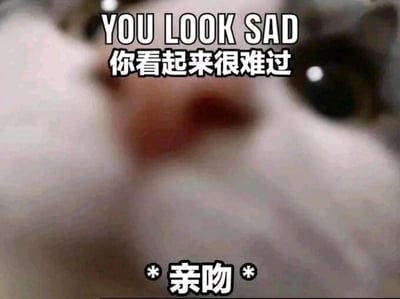 这是一张文字加注的静态表情素材图，主体为近距离拍摄的猫咪脸部特写，猫咪圆睁双眼，神态软萌无辜，画面构图聚焦于猫咪的面部，给人一种贴近的亲切感。图片上方配有中英对照文字“YOU LOOK SAD 你看起来很难过”，精准点出对对方情绪的察觉，下方的“*亲吻*”文字则传递出用温柔的亲吻来安慰对方的暖心情绪，整体内容适合在他人情绪低落时发送，用以表达关心、安慰的心意，风格治愈且充满温情。