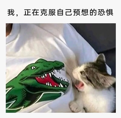 这是一张图文结合的搞笑治愈图片，上方配有文字“我，正在克服自己预想的恐惧”，画面中一只灰白相间的小猫，张大嘴巴、露出舌头，前爪搭在印有绿色张牙舞爪恐龙图案的白色T恤上，正对着图案吼叫，仿佛在勇敢对抗自己内心预想的“恐惧敌人”，生动又可爱地诠释了人们自我鼓励、努力克服内心恐惧的状态，整体画面充满趣味，传递出积极的情绪。