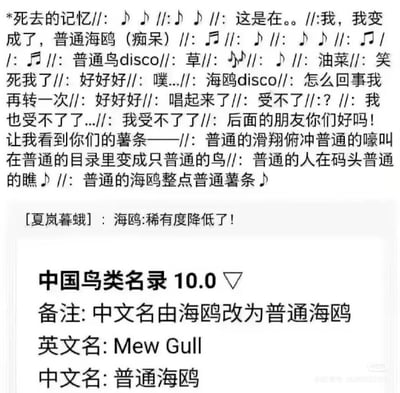 整张图为网络搞笑梗图，由上下两部分内容拼接而成。上半部分是网友对热门Vocaloid歌曲《普通Disco》的二次改编版本《普通海鸥Disco》的歌词，内容穿插音符符号、“死去的记忆”“笑死我了”“让我看到你们的薯条”等玩梗式的观众反应吐槽，贴合海鸥喜欢抢薯条的大众印象；中间是用户“夏岚暮蛾”的评论“海鸥:稀有度降低了！”；下半部分是恶搞的《中国鸟类名录10.0》截图，虚构标注“中文名由海鸥改为普通海鸥”，英文名标注为“Mew Gull”对应“普通海鸥”的玩梗设定，整体氛围轻松搞笑，玩梗属性强。