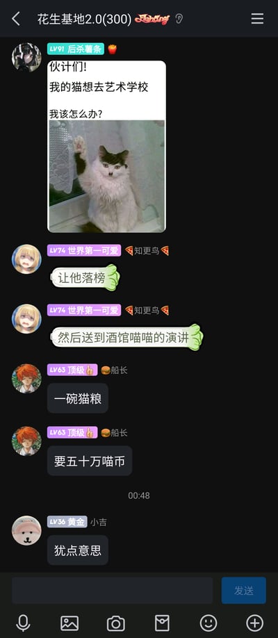 这是一张QQ群聊（群名“花生基地2.0(300)”）的竖屏截图，群成员“后杀薯条（LV91）”发起趣味话题，发布文字“伙计们!我的猫想去艺术学校我该怎么办?”并附上一张黑白长毛猫的图片，图中的猫咪坐在窗边，举起一只爪子，姿态像是举手报名。随后其他群成员纷纷以玩梗的方式回应：“世界第一可爱（LV74）”回复“让他落榜”“然后送到酒馆喵喵的演讲”，“顶级👍（LV63）”用“一碗猫粮”“要五十万喵币”的内容继续玩梗，“黄金小吉（LV36）”打错字回复“犹点意思”，整个群聊氛围轻松搞笑，是网友围绕猫咪话题展开的即兴趣味互动。