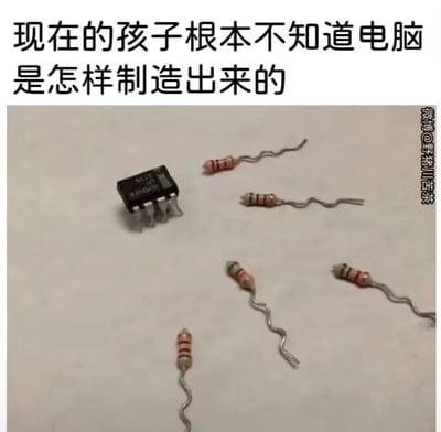 这是一张创意搞笑梗图，上方配有文字“现在的孩子根本不知道电脑是怎样制造出来的”，图中将一个黑色的集成块放置在画面上方，五个电阻的引脚被处理成弯曲的形态，看起来像是围绕着集成块的小猪，用“母猪生育小猪”的拟人化荒诞场景，调侃式地“解释”电脑的制造过程，以此来讽刺现在的孩子对电脑硬件组成和真实制造流程的陌生，用夸张、幽默的方式制造笑点。