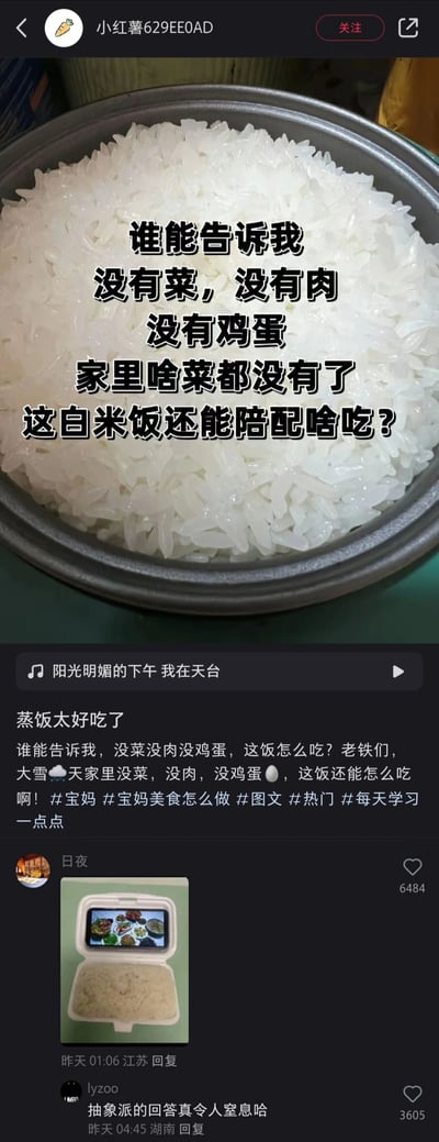 这是一张来自小红书平台的竖屏社交媒体截图，博主发布了一锅蒸好的白米饭的照片，图上标注文字询问网友，在没有菜、肉和鸡蛋，家中无任何配菜的情况下，白米饭还能搭配什么吃。博主的配文补充说明是大雪天遇到的困境，并带上#宝妈 #宝妈美食怎么做 #热门 等标签。评论区用户“日夜”发布了一张极具创意的图片回应：将显示着多道菜肴的手机放置在米饭上方，用这种调侃的方式“搭配”白米饭，这条评论获得高赞，另有用户评论调侃这是“抽象派的回答真令人窒息哈”，整体是网友围绕日常饮食困境展开的趣味互动内容。
