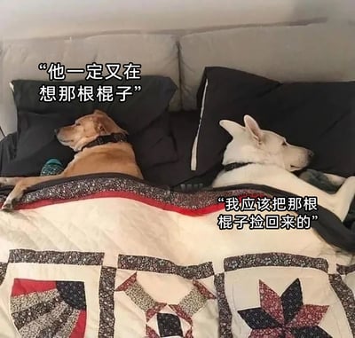 这是一张趣味宠物拟人梗图，画面中两只狗狗背对着背躺在床上，盖着带有几何花纹的被子，姿态放松却各怀心思。左边的黄色狗狗侧躺，配文“他一定又在想那根棍子”，仿佛在揣测同伴的内心；右边的白色狗狗同样侧躺，配文“我应该把那根棍子捡回来的”，表现出它因没捡回棍子而陷入懊悔的情绪。通过拟人化的内心戏，将宠物的日常瞬间赋予人类的心理活动，制造出诙谐搞笑的效果，契合宠物主人对宠物“小心思”的趣味想象。