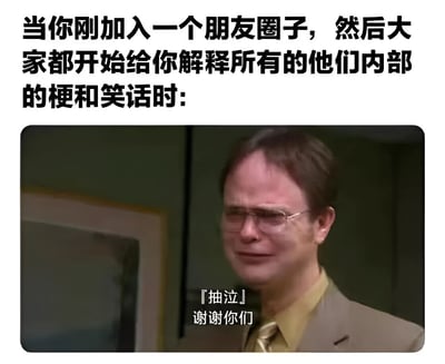 这是一张图文混排的梗图，上方文字描述了刚加入朋友圈子时，所有人都开始解释内部梗和笑话的场景。下方是《办公室(美国版)》中角色德怀特·施鲁特的截图，他戴着眼镜，穿着棕色西装和黄色衬衫，脸上带着痛苦含泪的表情，配文「抽泣」谢谢你们，幽默地表现了面对大量陌生内部梗时的无奈与 overwhelmed 状态。