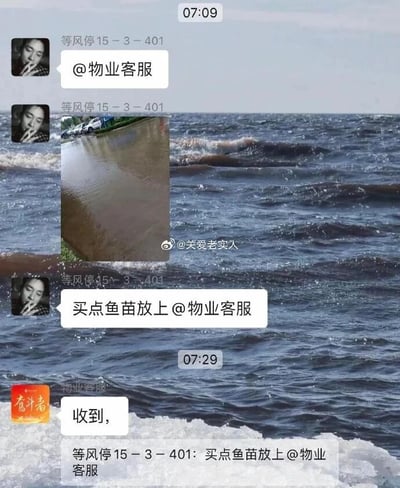 这是一张经过合成的趣味搞笑内容图，背景选用了波涛汹涌的海面来烘托积水的夸张感，前景是业主与物业的聊天记录截图。业主“等风停15-3-401”先@物业客服，发送了一张小区道路严重积水的图片，随后以调侃的语气要求物业“买点鱼苗放上”，以此来吐槽小区积水的问题；物业客服则简洁地回复“收到，”，聊天记录底部还自动引用了业主的调侃内容。图片中的积水图片右下角带有“@关爱老实人”的水印。整个内容用幽默的方式表达了对小区积水情况的不满，物业的“收到”回复让这个调侃更具反差感，容易引发有类似生活经历的用户共鸣。