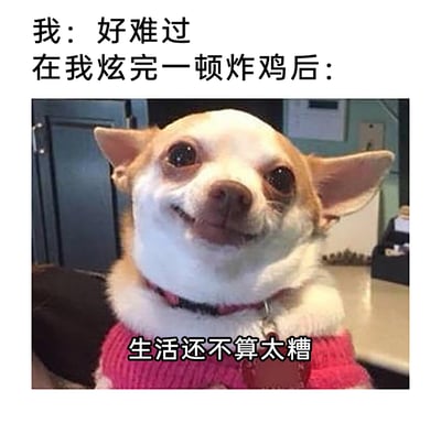这是一张用来表达美食治愈负面情绪的图文表情包，上方配文描述了情绪变化的场景：“我：好难过 在我炫完一顿炸鸡后：”，下方是一只穿着粉色带毛领毛衣的吉娃娃，它嘴角上扬，露出满足的微笑，眼神明亮，图下配文“生活还不算太糟”。整个内容生动地还原了很多人在情绪低落时，通过享用美食（炸鸡）来缓解不开心，重新找回对生活的积极感的日常场景，精准戳中了大众用美食治愈emo的共鸣点，十分贴近生活。