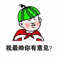 图片中是一个卡通风格的小孩形象，头部顶着一个绿色带黑色条纹的西瓜当作帽子，脖子上围着红色的围巾，脸颊泛红，嘴巴微撅，表情显得自信又略带傲娇。图像底部配有黑色文字“我最帅你有意见？”，整体风格可爱幽默，通过夸张的造型和直白的文字表达出一种自信爆棚的调侃态度。