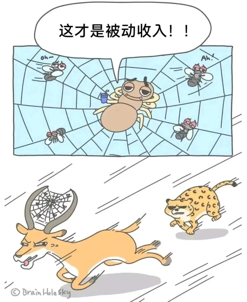 豹子