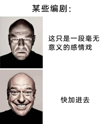 这是一张用于吐槽部分编剧的网络梗图，采用上下对比的构图形式。上方是表情严肃凝重的演员照片，配文“这只是一段毫无意义的感情戏”，代表编剧内心对这段剧情的认知；下方是该演员露出夸张兴奋笑容的照片，配文“快加进去”，表现出编剧明知剧情冗余却仍执意添加的迷惑行为，精准戳中观众对影视剧中注水、无意义感情戏的不满情绪，引发共鸣。