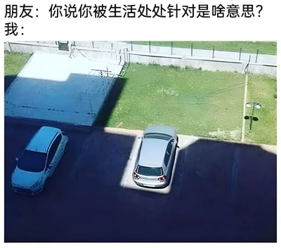 图片上方是朋友和“我”的对话，朋友问“你说你被生活处处针对是啥意思？”，“我：”下方是一张俯拍照片，展示了两辆停在停车场的车，左侧车辆布满鸟屎，右侧车辆则干净整洁，通过两车的鲜明对比，幽默地表达了“被生活处处针对”的无奈感受。