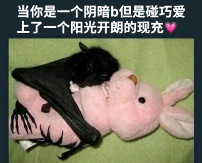 图片上方有一行文字："当你是一个阴暗b但是碰巧爱上了一个阳光开朗的现充❤️"。图片主体是一只黑色的蝙蝠玩偶趴在一个粉色的兔子玩偶身上，蝙蝠象征着阴暗的性格，而粉色兔子则象征着阳光开朗的性格，通过两种反差鲜明的玩偶形象，幽默地表现了性格迥异的人之间产生爱情的有趣情景。