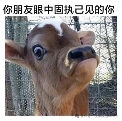 这是一张幽默梗图，上方配有文字'你朋友眼中固执己见的你'，下方是一张表情固执的小牛照片。图中小牛眼神坚定，仿佛在坚持自己的观点，生动地调侃了人们在朋友眼中固执己见的形象，充满趣味性。