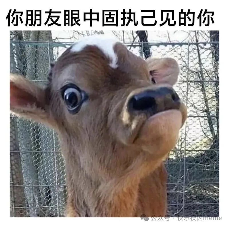 小牛