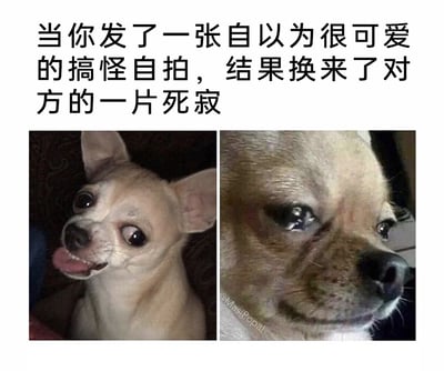 这是一张左右对比式的宠物表情包，上方配有文字说明“当你发了一张自以为很可爱的搞怪自拍，结果换来了对方的一片死寂”。左侧的吉娃娃吐着舌头、歪着眼睛，表情搞怪活泼，对应分享自拍照时自我感觉良好的心态；右侧的吉娃娃眼含泪水，神情委屈低落，对应发出自拍后对方毫无回应，自己陷入尴尬、失落的社死情绪。图片通过宠物的表情反差，生动还原了社交互动中分享自认为有趣的内容却遭遇冷场的尴尬瞬间，极易引发人们在日常社交中的情绪共鸣。