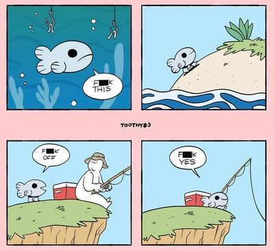 暂无描述