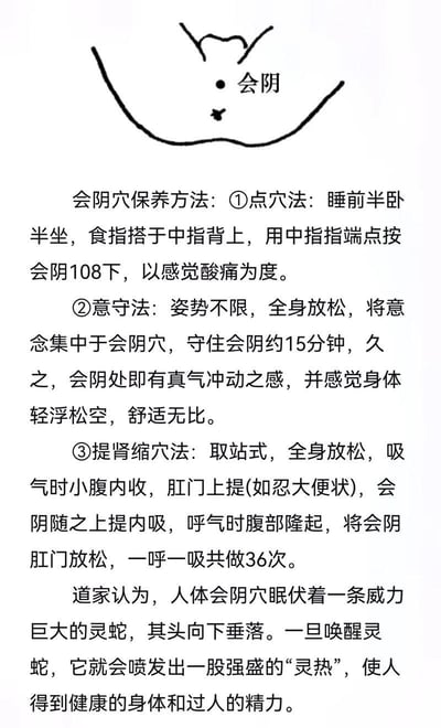 图片上方是一个简单的人体会阴部位示意图，标注了“会阴”位置。下方详细列出了三种会阴穴保养方法，包括点穴法、意守法和提肾缩穴法，并配有道家关于会阴穴的相关论述，称其伏有“灵蛇”，唤醒后可带来健康和精力。