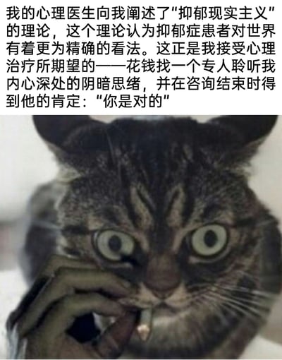 这是一张图文结合的网络搞笑meme梗图，上方的文字以自嘲的口吻吐槽了“抑郁现实主义”理论：抑郁症患者得知该理论认为自己对世界的看法更精确后，调侃自己接受心理治疗的本质是花钱找专业人士聆听自己的阴暗思绪并得到“你是对的”的肯定。下方搭配了一张经过合成的狸花猫图，猫的眼睛瞪大，露出震惊又认同的神情，还被一只手捂住嘴，生动地传递出看到这个理论时那种“被精准戳中”的错愕与共鸣，用幽默的方式解构了心理健康话题里的微妙心态，让沉重的话题变得轻松有趣。